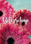 Productafbeelding Beterschap   rose bloemen