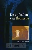 Productafbeelding Vijf zalen van bethesda